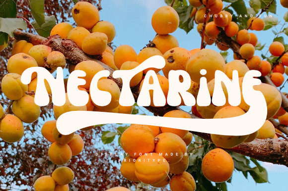 Nectarine: The Retro Display Font That Feels Like Summer